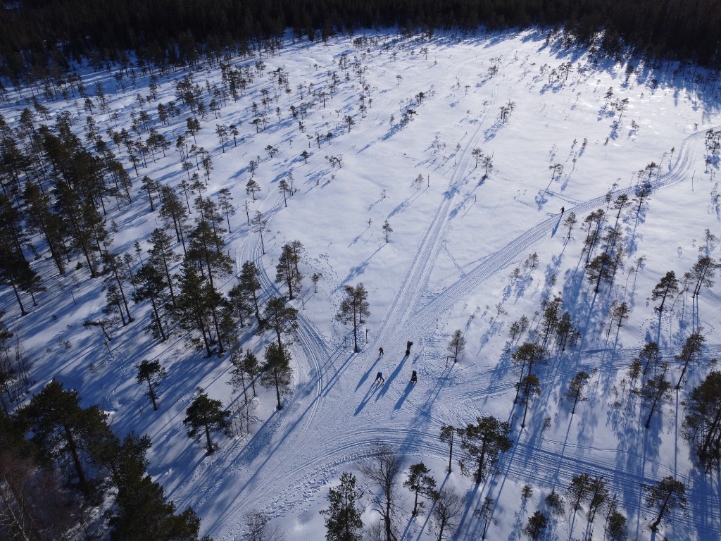Vybild över mossen där bland annat Barnspåret, Myrspåret, Solspåret och Hundspåret börjar.