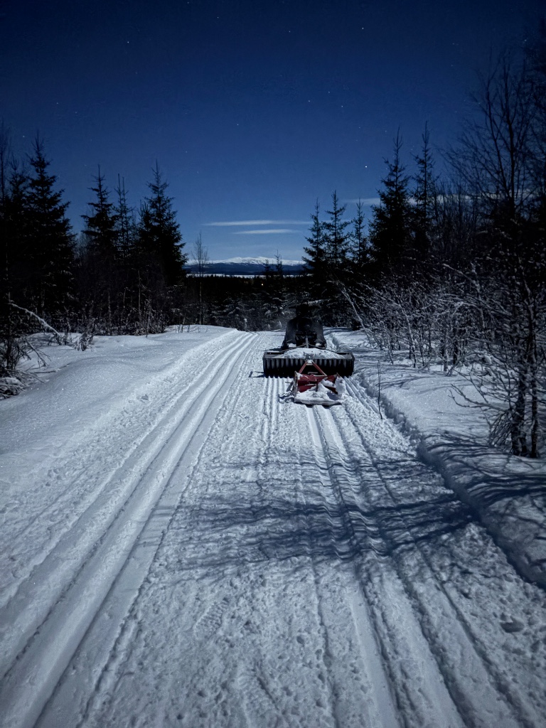Blå sporet. 5 km og starter ved Camp Ånn og bort til skytebanen og fortsetter opp til kraftlinja og ned mot Klocka og tilbake til elljuspåret ved Camp Ånn. Underholdes kun på sen vinteren pga som oftest snø brist på kalhygget ved Klocka