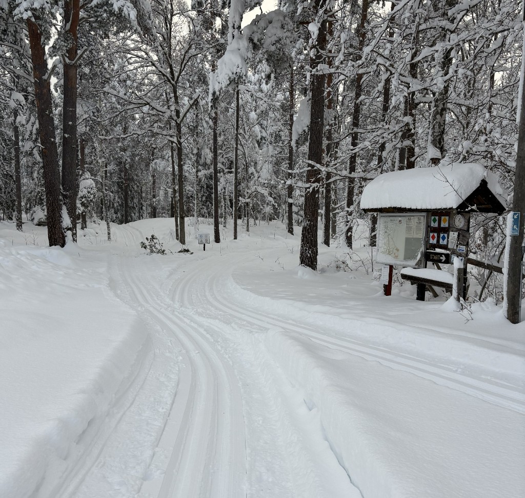 Nyspårat vid starten