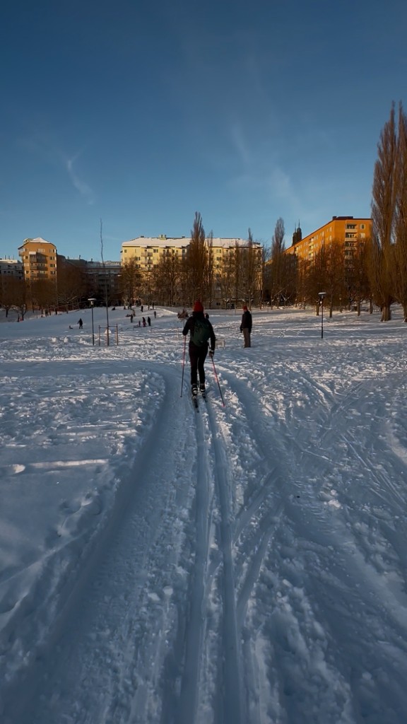 Norra hörnet vid nyspårat 10 januari 2026
