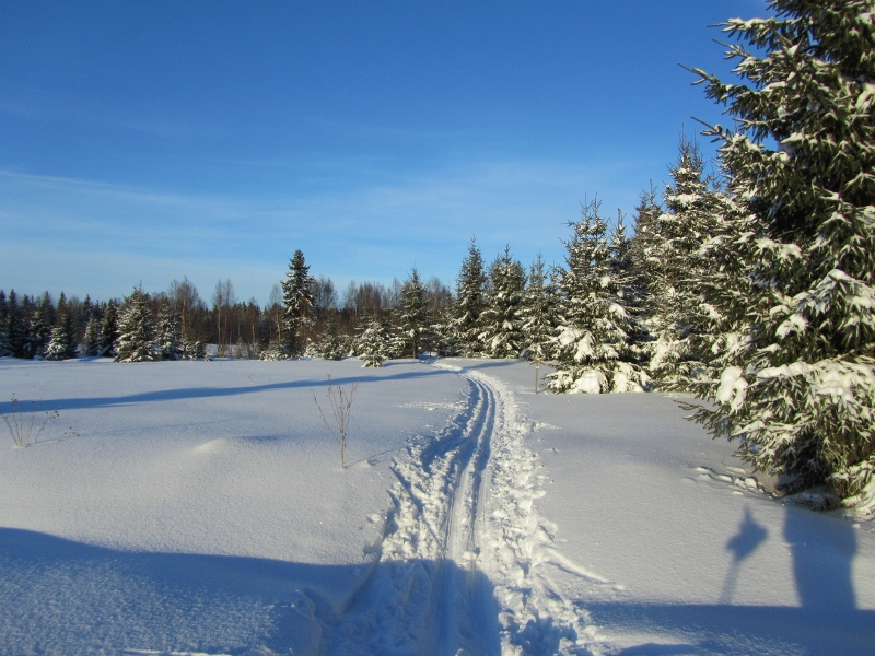 Kung Björnsspåret 3 januari 2011