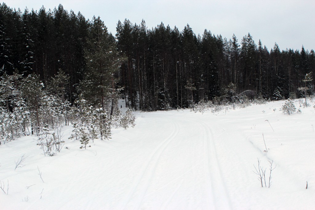 Spåren mellan Igeltjärn och Vargliden