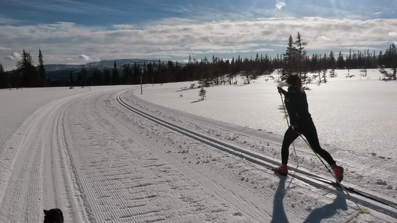 Renfjällsrundan