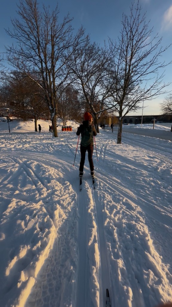 Södra hörnet vid nyspårat 10 januari 2026