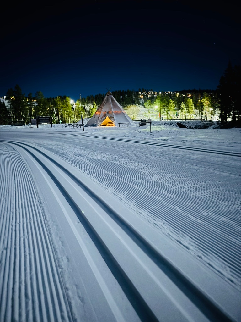 Tidig snö november 2024